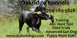 Oakridge Kennels
