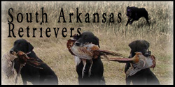 South Arkansas Retrievers