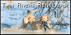 Twin River Retrievers