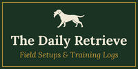 Daily Retriever
