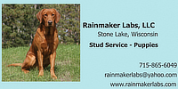 Rainmaker Labs
