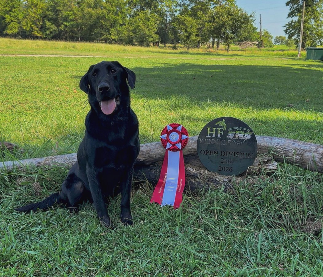 Sire Photo