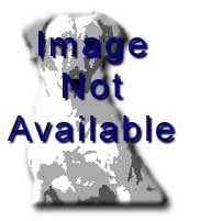 New Equipment For Sale Feature